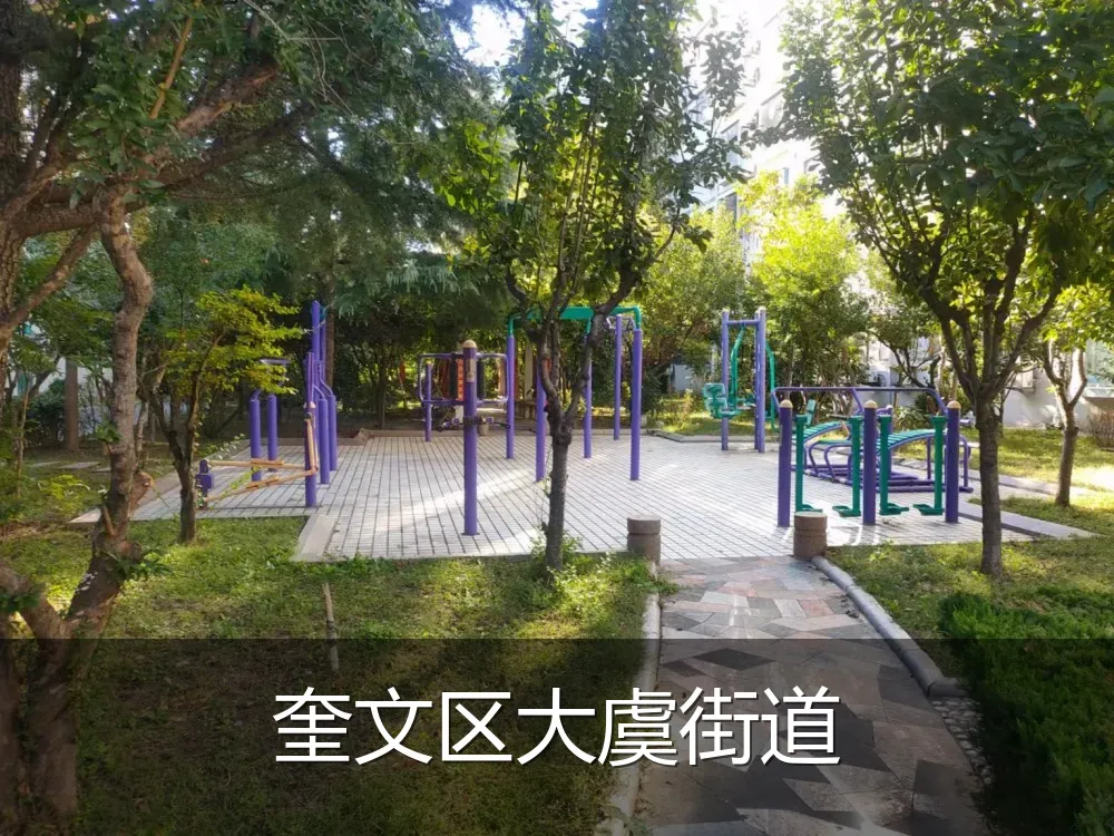 奎文区大虞街道