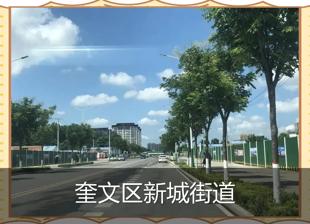 奎文区新城街道